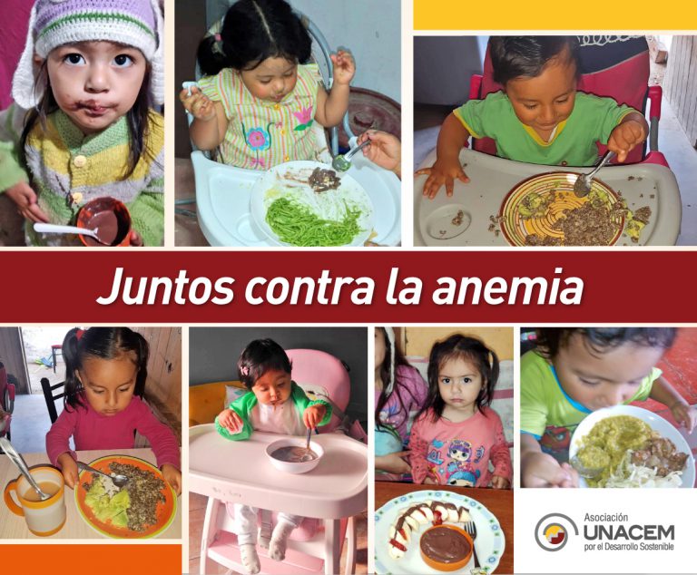 Programa De Intervención Contra La Anemia Archivos - Página 2 De 3 ...