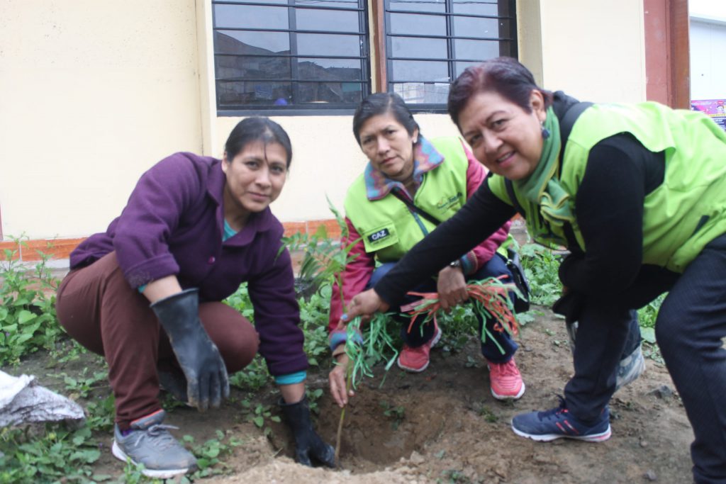 10 años promoviendo arborizaciones comunitarias en Lima Sur