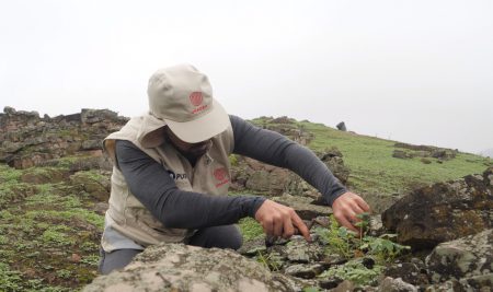 Programa Arqueológico Escuela de Campo – Valle de Pachacamac es galardonado con el Premio IPAE a la Empresa 2022