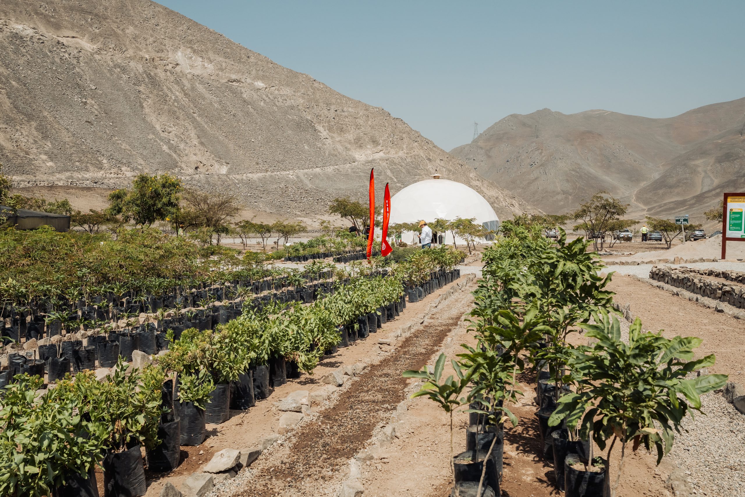 2025_03_26 CELEPSA - PLANTA SOLAR-144